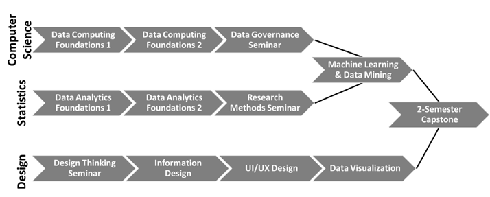 This is a figure illustrating curriculum pathways