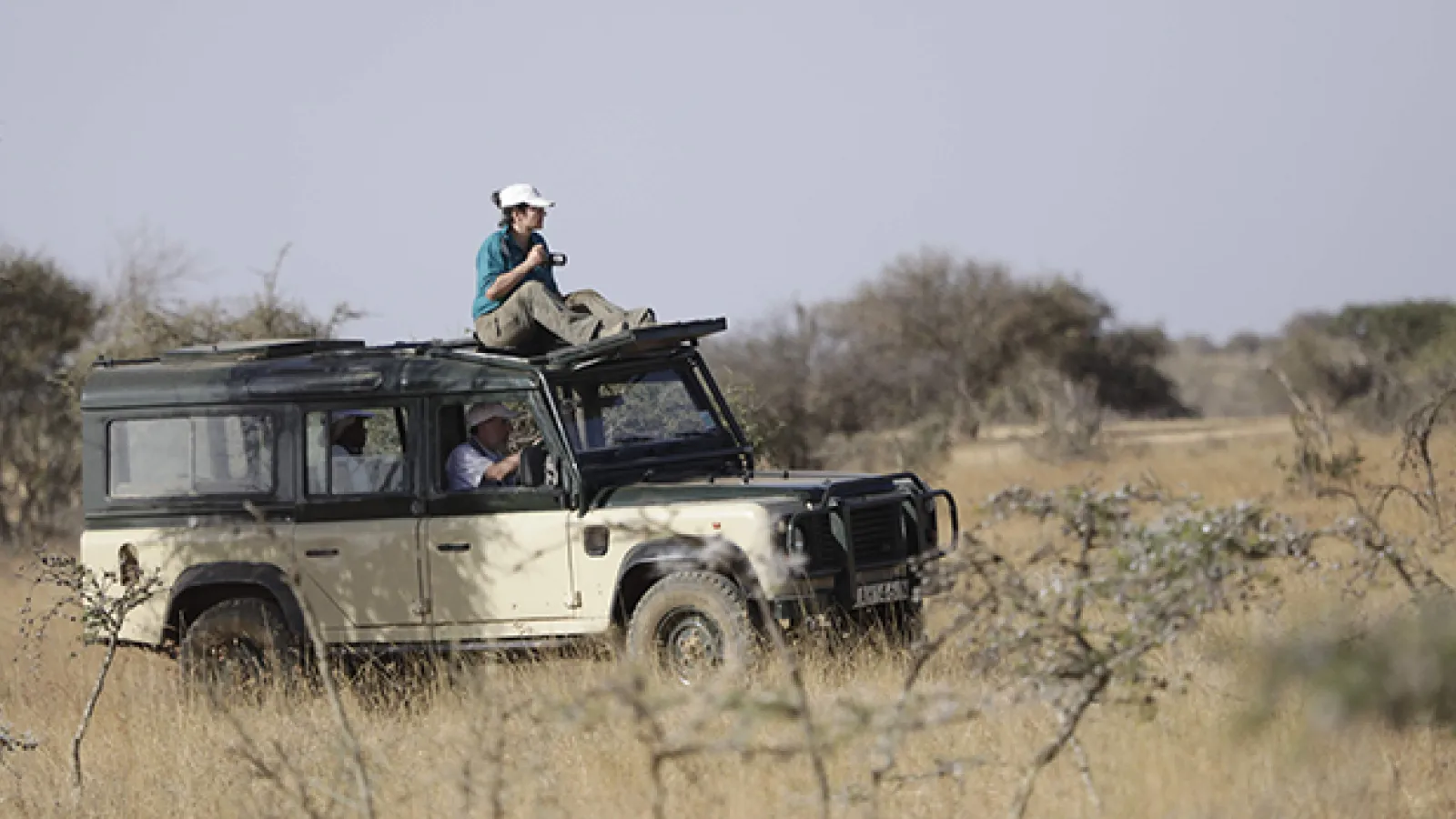 Berger-Wolf sitting on top of safari jeep