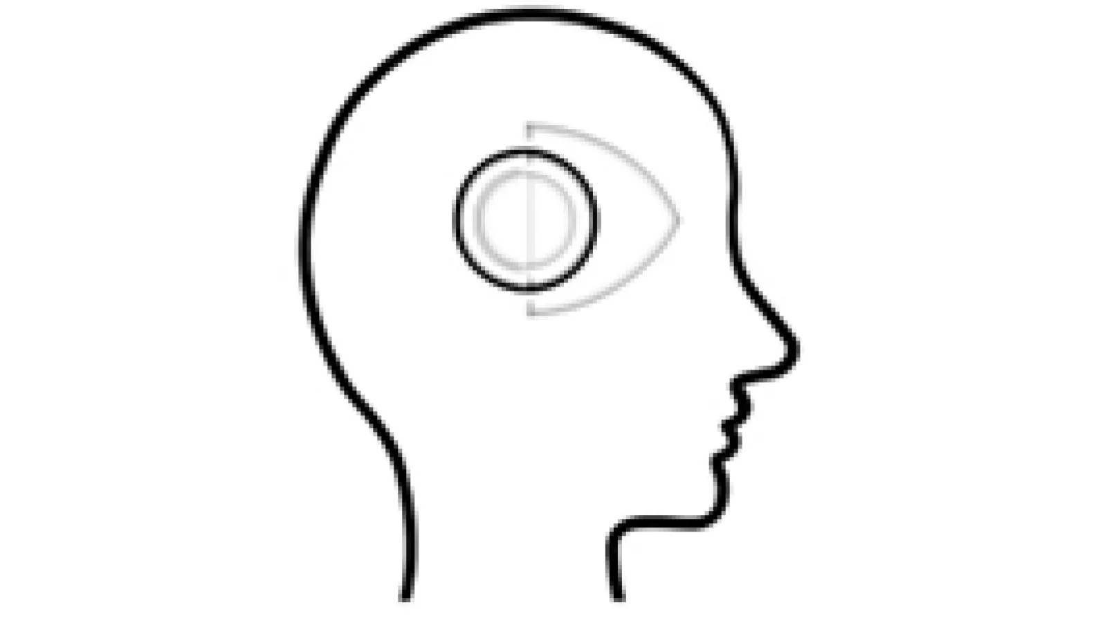 Logo for Hypertensive Retinopathy Diagnosis Challenge - outline of a head and retina location