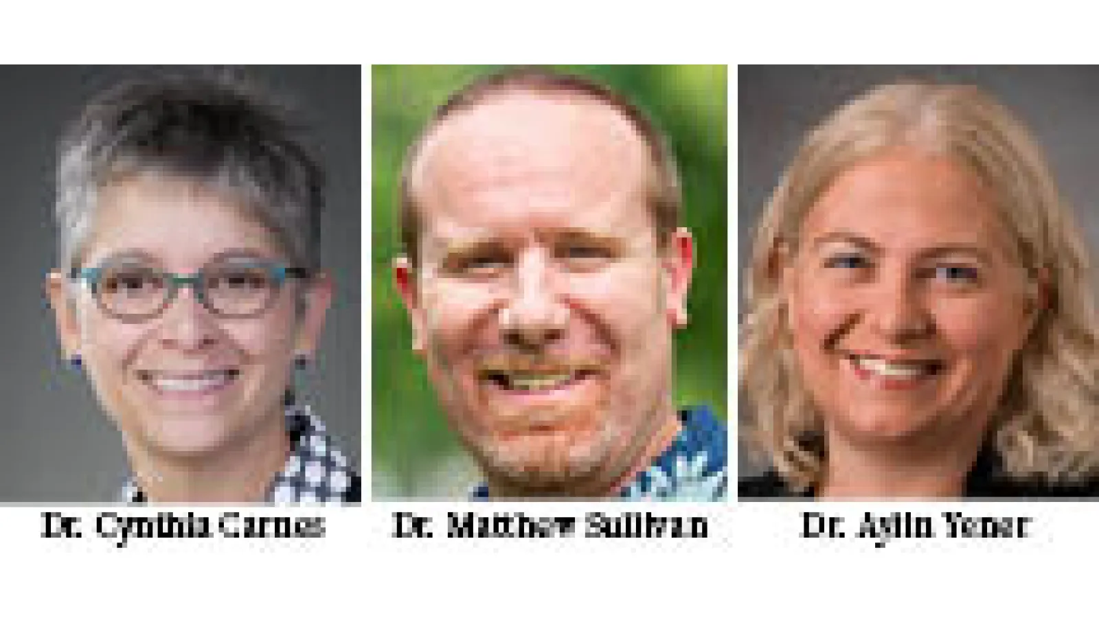 Headshots: Dr. Cynthia Carnes, Dr. Matthew Sullivan, Dr. Aylin Yener