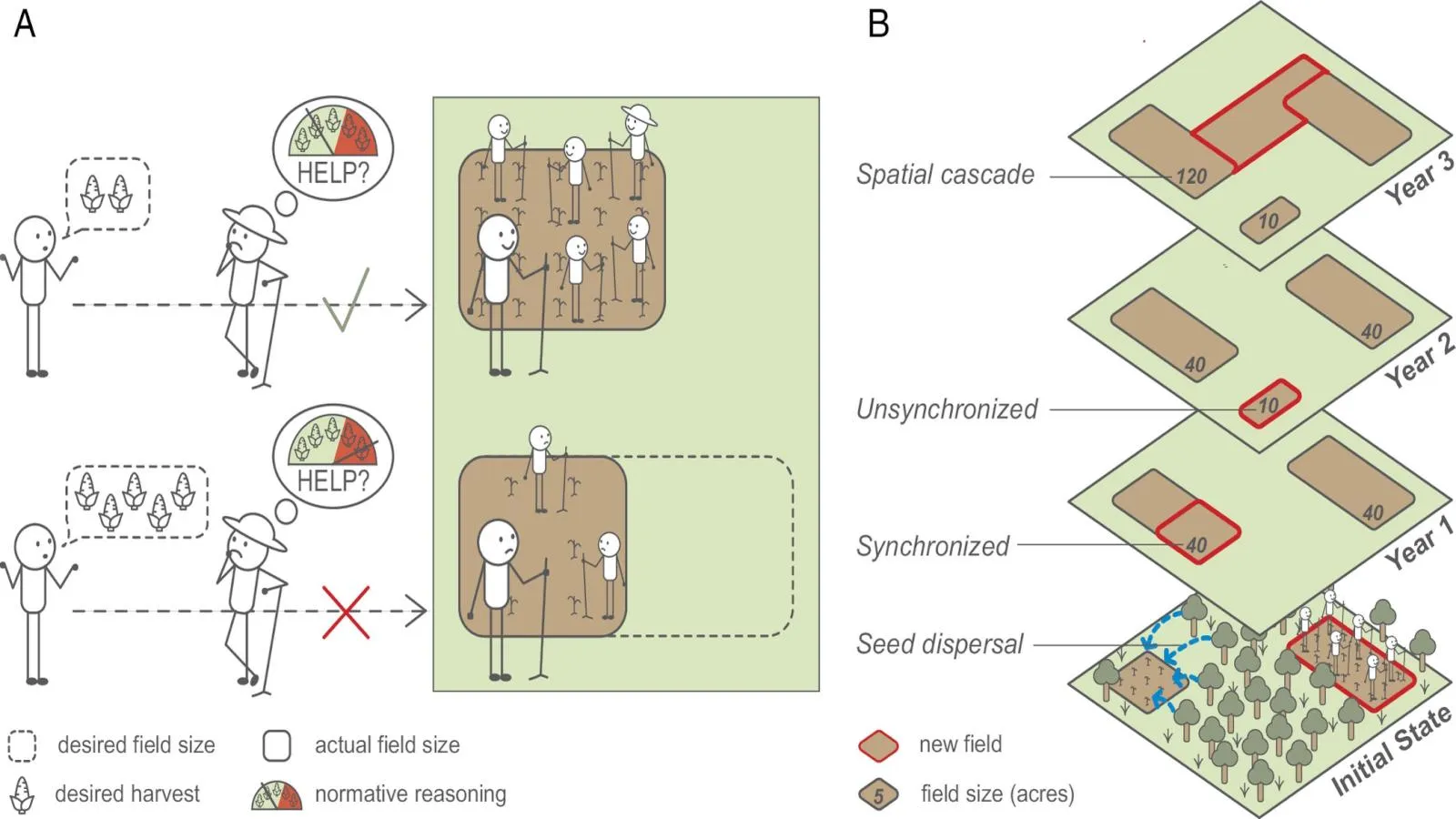 Diagram showing how farmer coordination influences field size and landscape expansion over time.