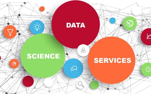 Banner with words: Data Science Services Banner - version2