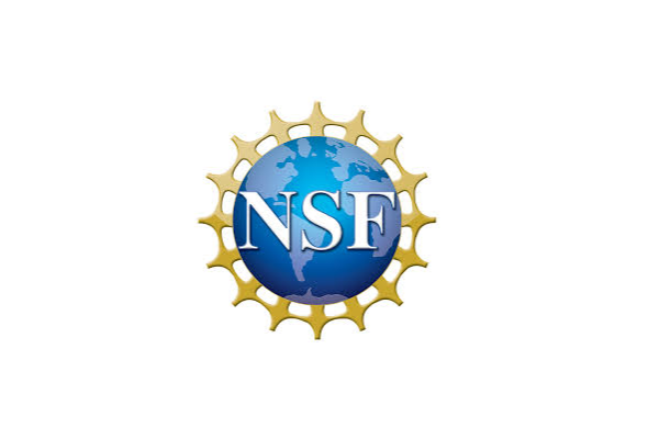 Logo for the National Science Foundation