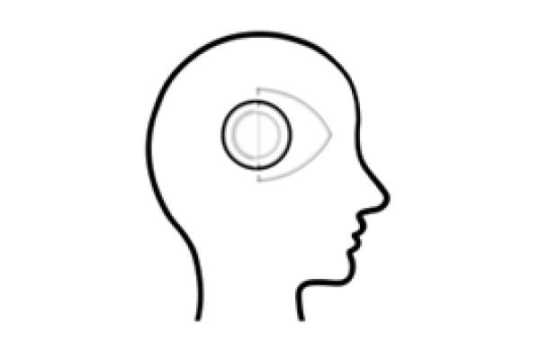 Logo for Hypertensive Retinopathy Diagnosis Challenge - outline of a head and retina location